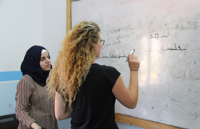 Palestinian Arabic vs Modern Standard Arabic: Key Differences